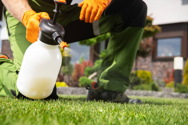 Best Residential Pest Control  in Salix, PA