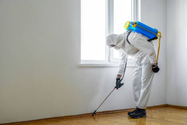 Best Pest Control Near Me  in Salix, PA