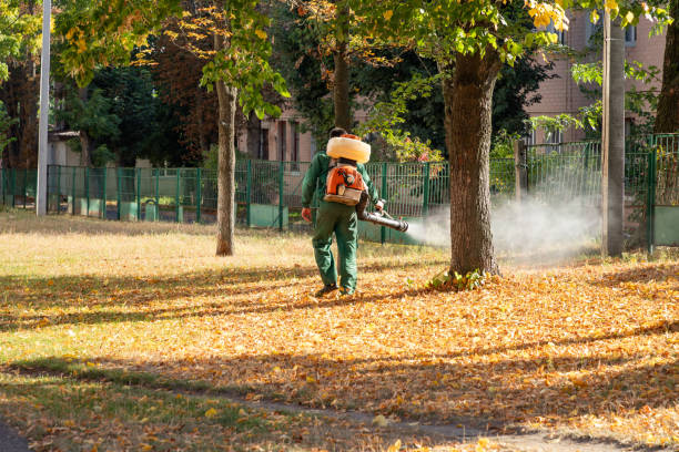 Best Emergency Pest Control  in Salix, PA