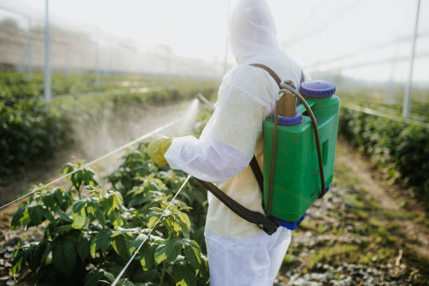 Best Residential Pest Control  in Salix, PA